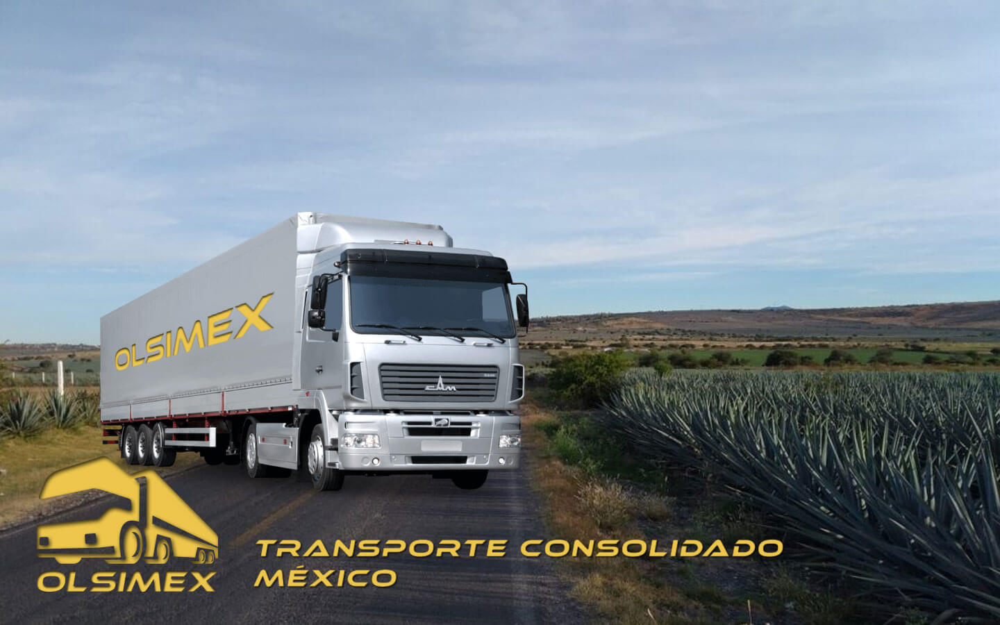 Transporte Consolidado México